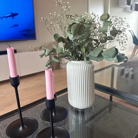 Apartment Classy With A Seaview!